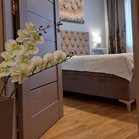 Apartman 49 スボティツァ エクステリア 写真
